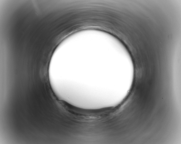 X0000088131521200706041938