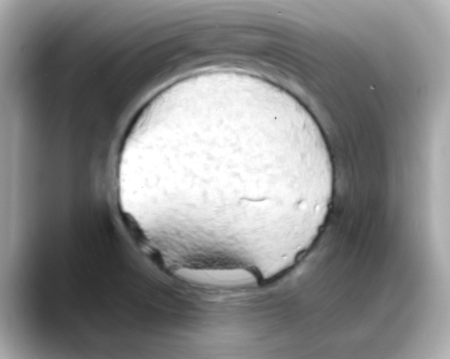 X0000088131522200706041938