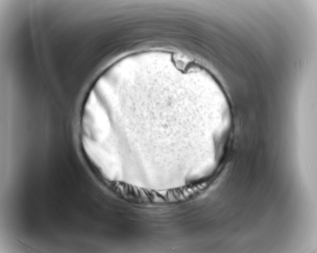 X0000088131525200706041938