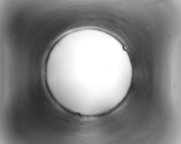 X0000088131526200706041938