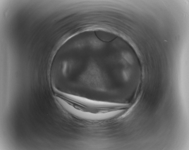 X0000088131529200706041938