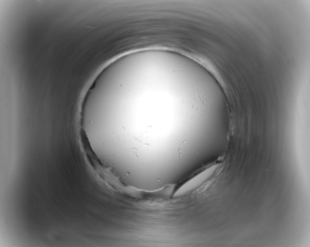 X0000088131532200706041938