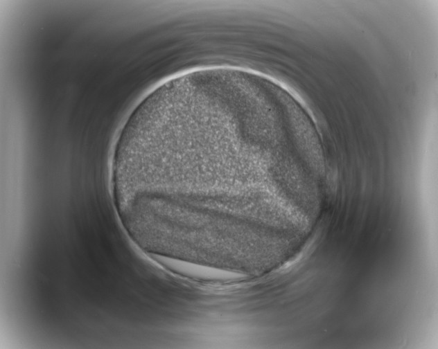 X0000088131535200706041938