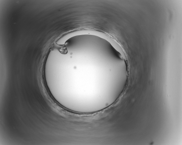 X0000088130001200706111415