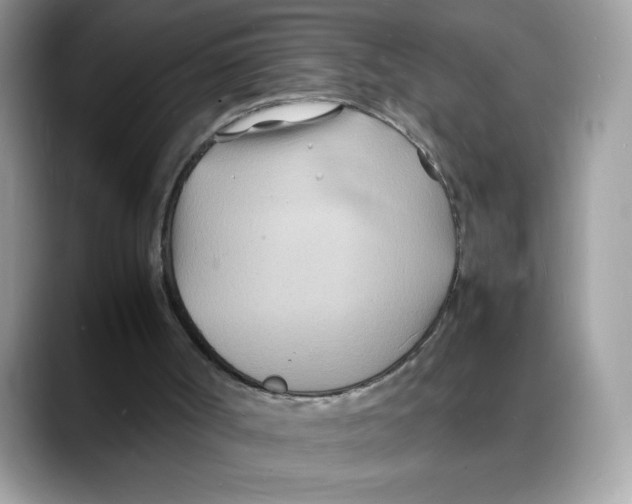 X0000088130002200706111415