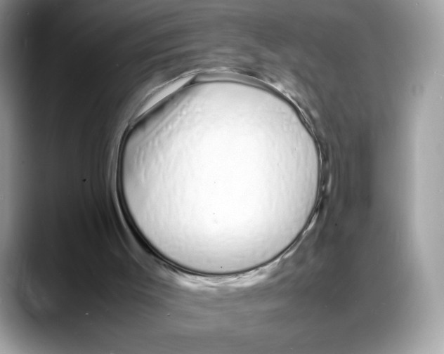 X0000088130003200706111415