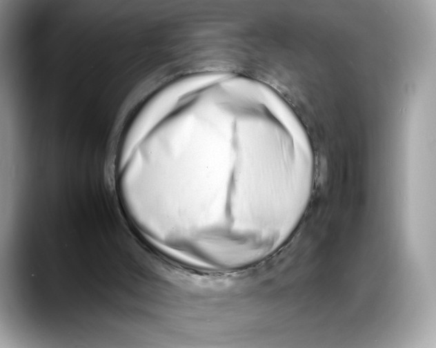 X0000088130004200706111415