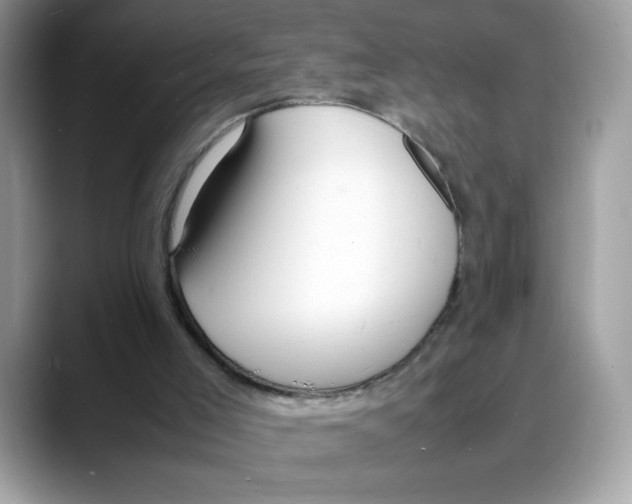 X0000088130005200706111415