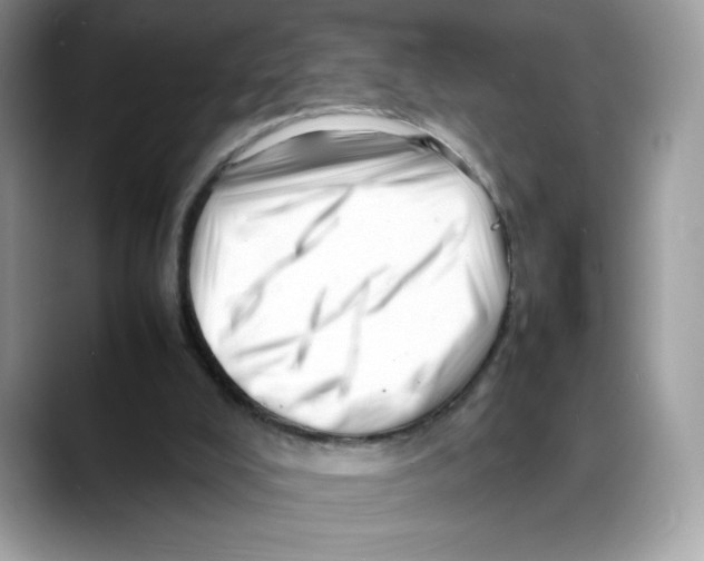 X0000088130008200706111415