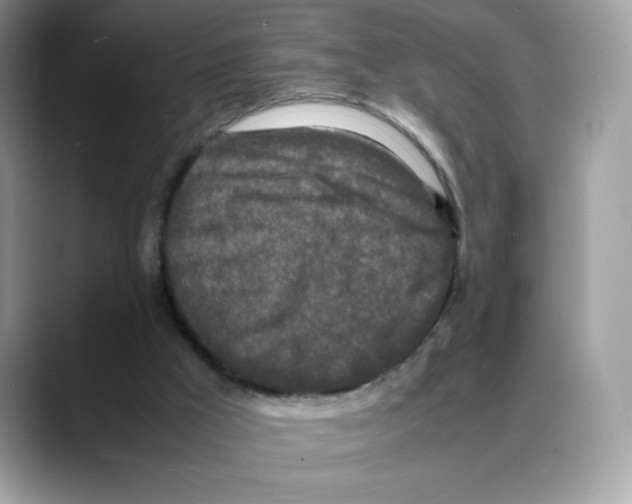 X0000088130009200706111415