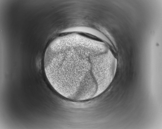 X0000088130010200706111415