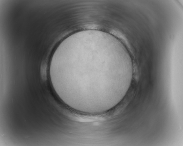 X0000088130012200706111415