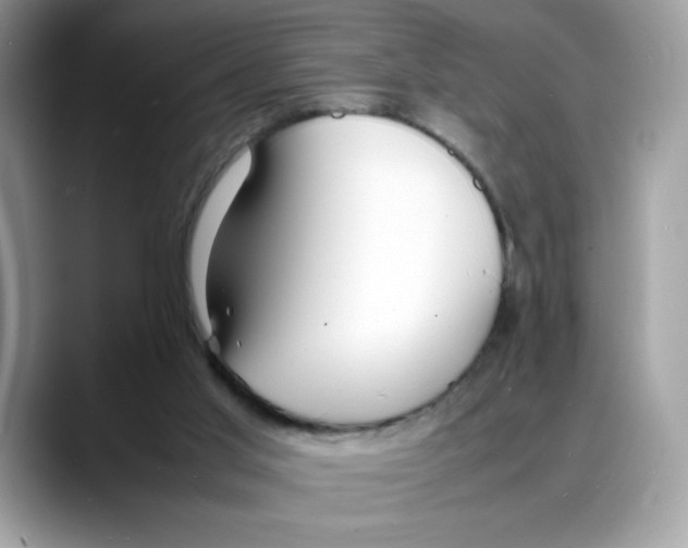 X0000088130013200706111415