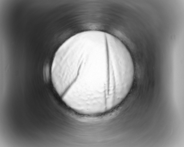 X0000088130014200706111415