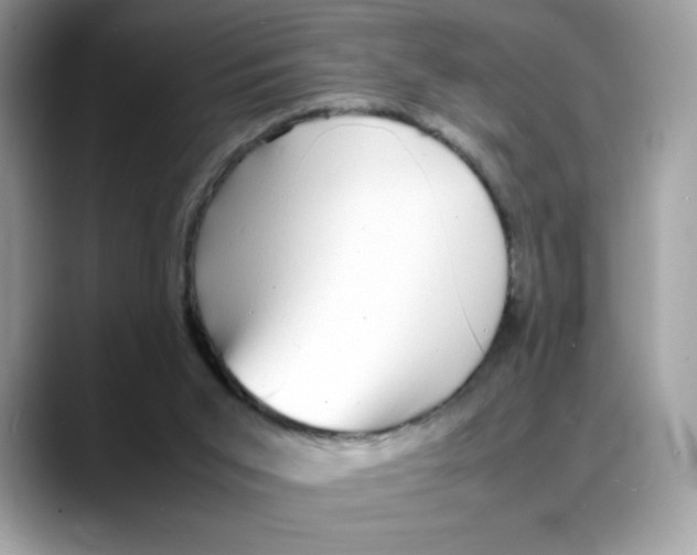 X0000088130015200706111415