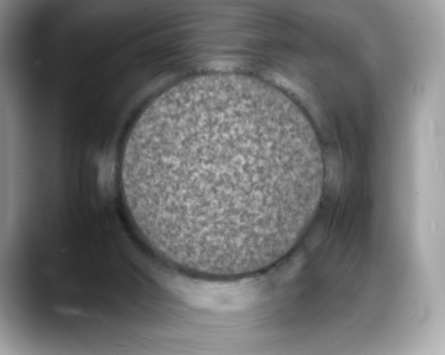 X0000088130016200706111415