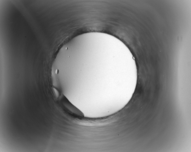 X0000088130017200706111415