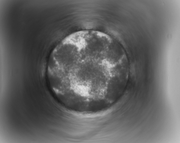 X0000088130018200706111415