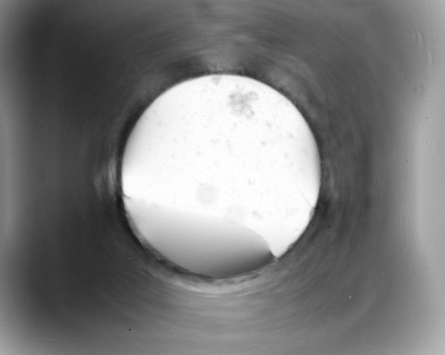 X0000088130019200706111415