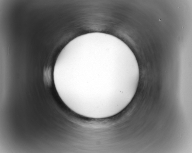 X0000088130020200706111415