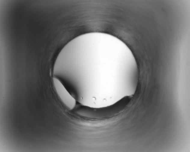 X0000088130021200706111415