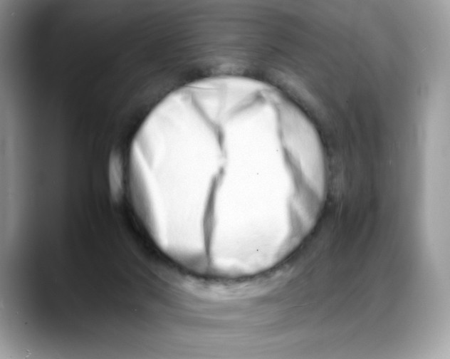 X0000088130022200706111415