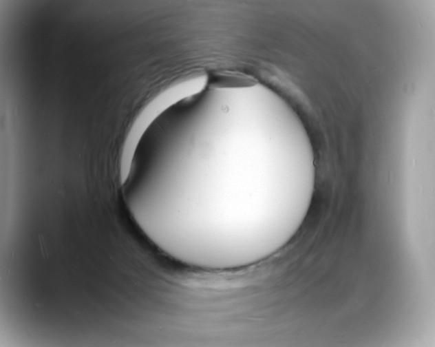 X0000088130025200706111415