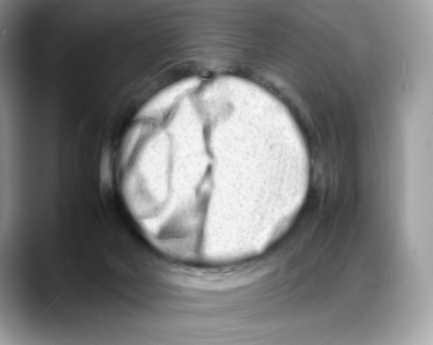 X0000088130026200706111415