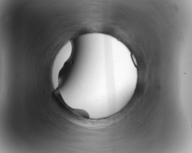 X0000088130027200706111415