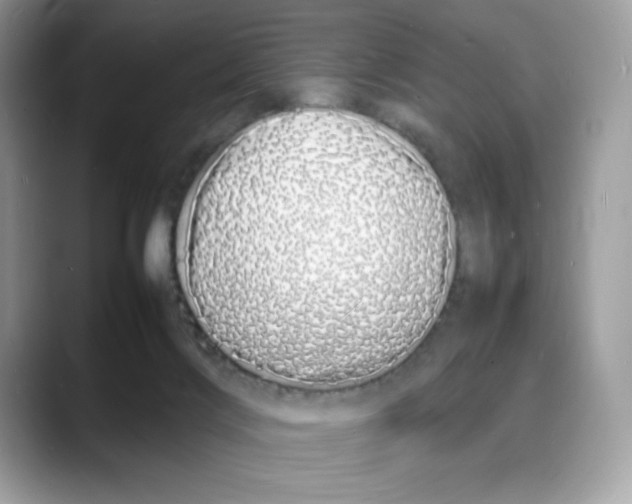 X0000088130028200706111415