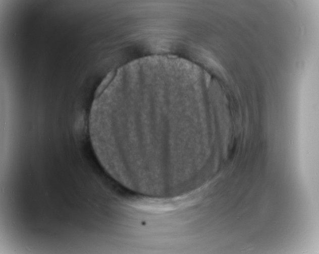 X0000088130029200706111415