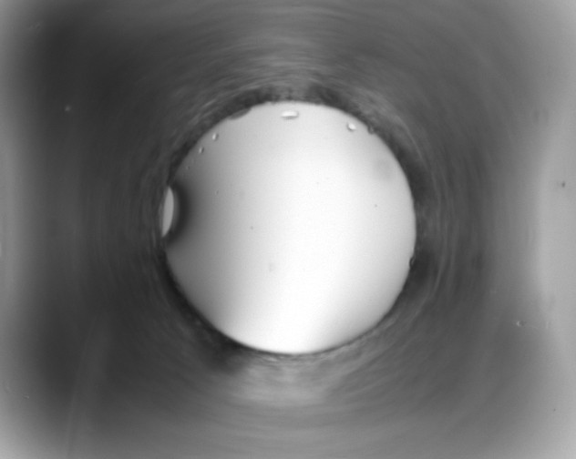 X0000088130033200706111415