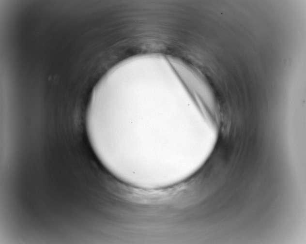 X0000088130034200706111415