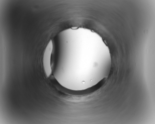 X0000088130037200706111415