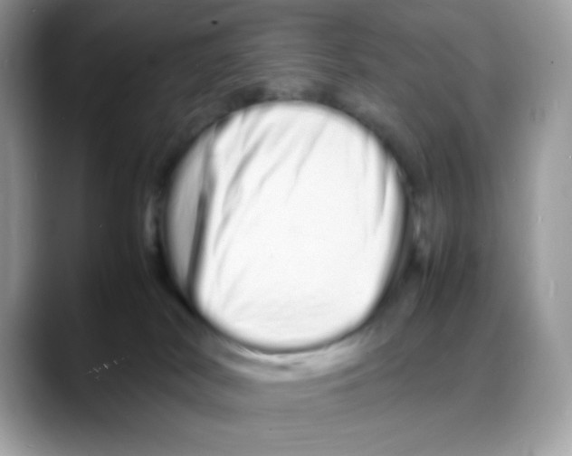 X0000088130038200706111415