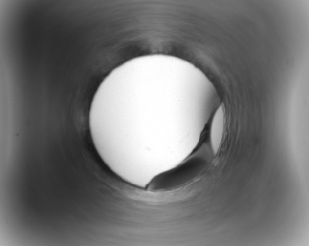 X0000088130039200706111415