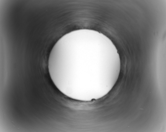 X0000088130040200706111415