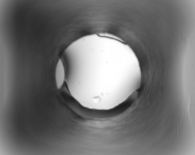 X0000088130041200706111415