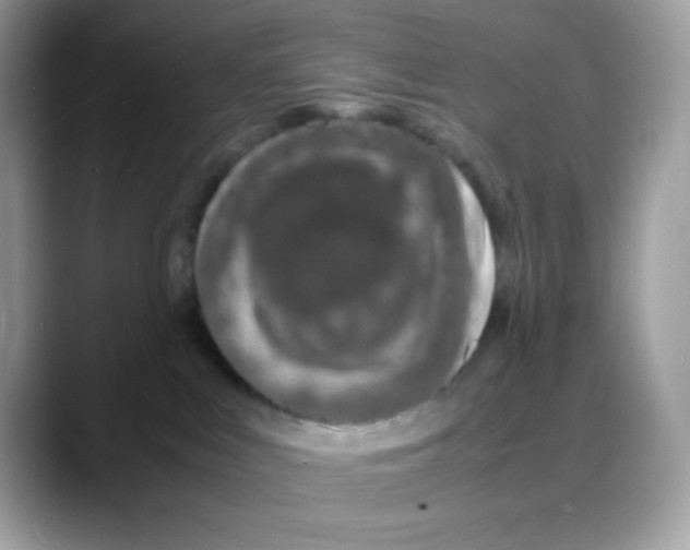 X0000088130043200706111415