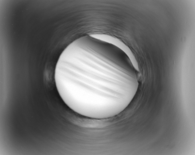 X0000088130044200706111415