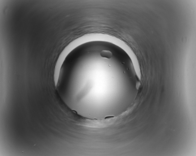 X0000088130045200706111415