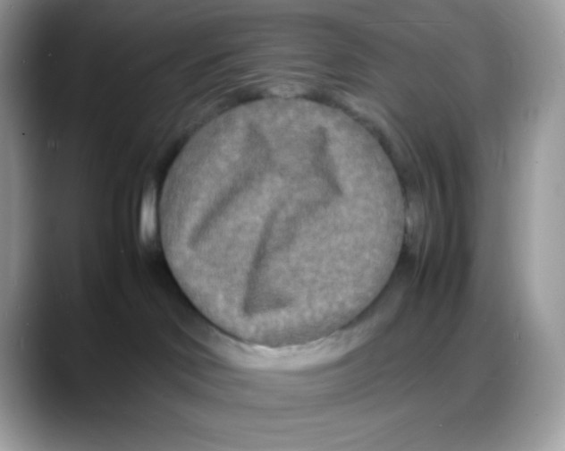 X0000088130046200706111415