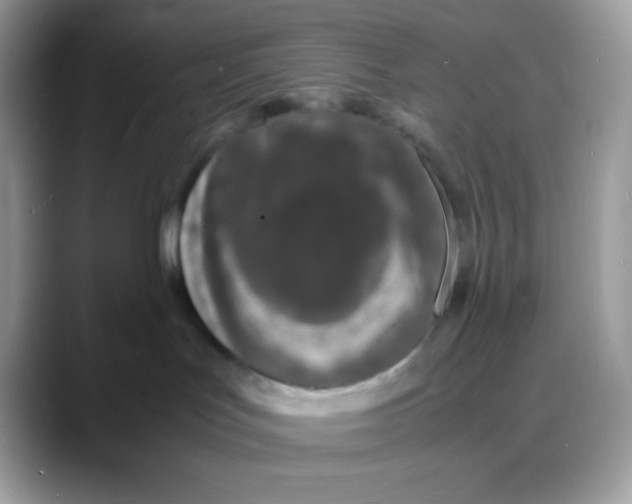 X0000088130047200706111415