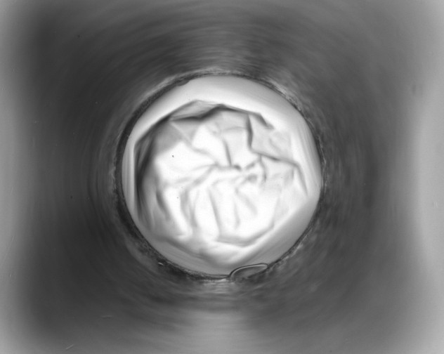 X0000088130050200706111414