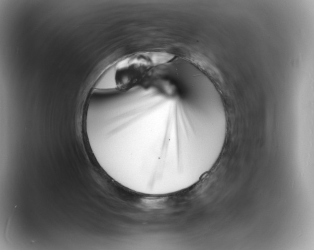 X0000088130051200706111414