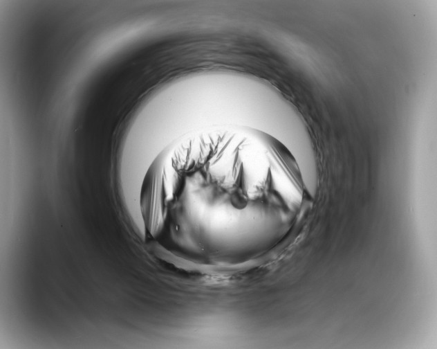 X0000088130052200706111414