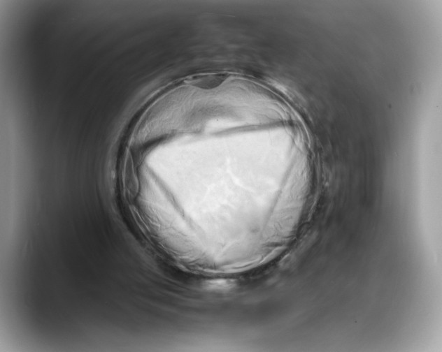 X0000088130053200706111414