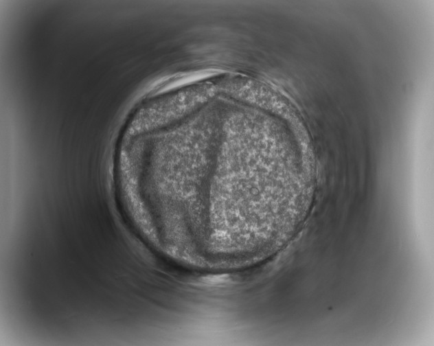 X0000088130054200706111414