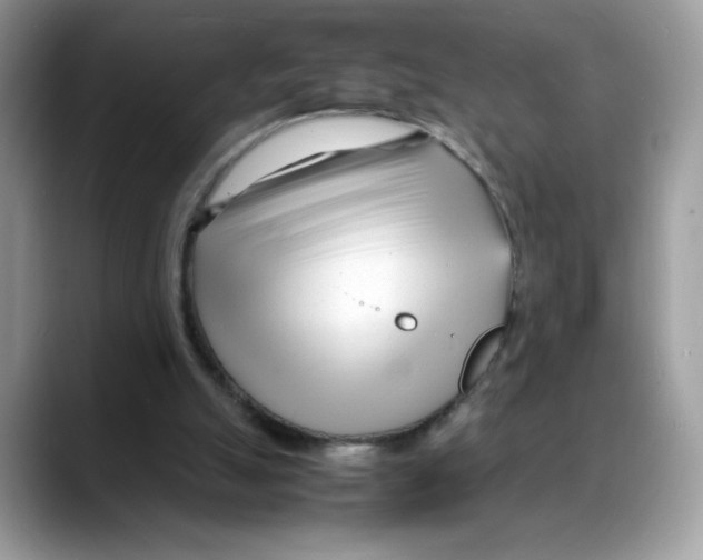 X0000088130055200706111414