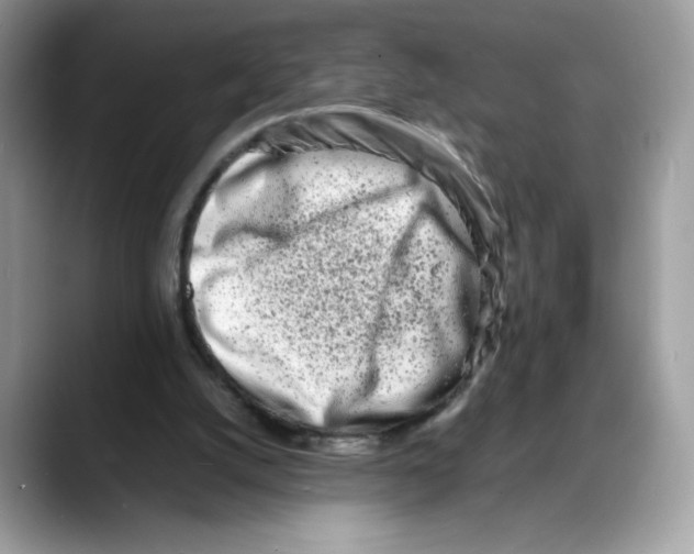 X0000088130056200706111414